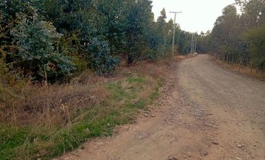 Se Vende Parcela En San Nicolás A 15 Minutos De Chillán