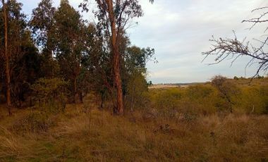 Se Vende Parcela En San Nicolás A 15 Minutos De Chillán