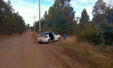 Se Vende Parcela En San Nicolás A 15 Minutos De Chillán