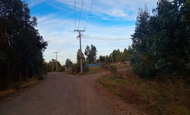 Se Vende Parcela En San Nicolás A 15 Minutos De Chillán