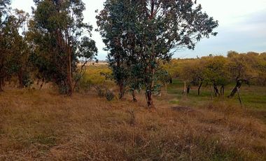 Se Vende Parcela En San Nicolás A 15 Minutos De Chillán