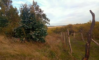 Se Vende Parcela En San Nicolás A 15 Minutos De Chillán