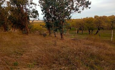 Se Vende Parcela En San Nicolás A 15 Minutos De Chillán