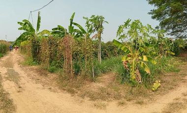 Land for sale in Tha Yang, Phetchaburi (4 Rai or about 1.6 Acre)