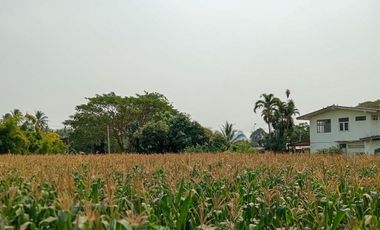 Land for sale in Tha Yang, Phetchaburi (4 Rai or about 1.6 Acre)