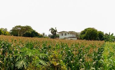 Land for sale in Tha Yang, Phetchaburi (4 Rai or about 1.6 Acre)