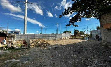 Industrial Lot in Seagull Lot, Taguig City