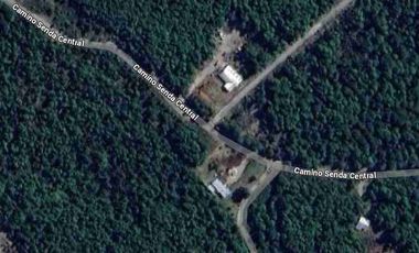 Arriendo casa en parcela sector La Vara