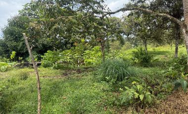 Venta de Finca , 116 Ha en  Pedro Vicente Maldonado. Ecuador.