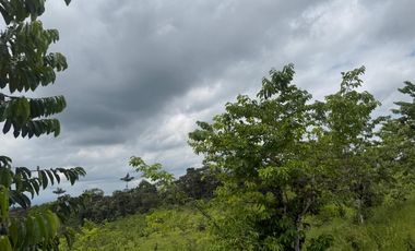 Venta de Finca , 116 Ha en  Pedro Vicente Maldonado. Ecuador.