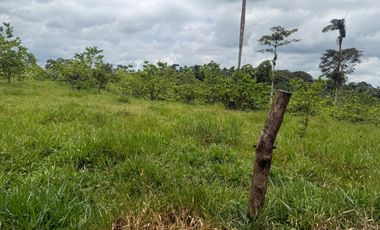 Venta de Finca , 116 Ha en  Pedro Vicente Maldonado. Ecuador.