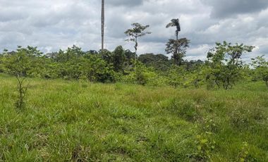 Venta de Finca , 116 Ha en  Pedro Vicente Maldonado. Ecuador.