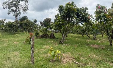 Venta de Finca , 116 Ha en  Pedro Vicente Maldonado. Ecuador.