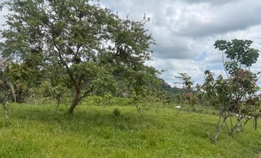 Venta de Finca , 116 Ha en  Pedro Vicente Maldonado. Ecuador.