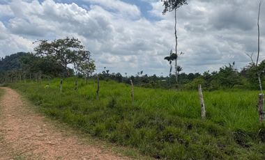 Venta de Finca , 116 Ha en  Pedro Vicente Maldonado. Ecuador.