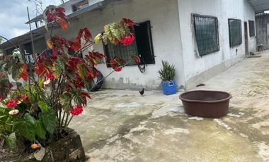 Venta de Finca , 116 Ha en  Pedro Vicente Maldonado. Ecuador.