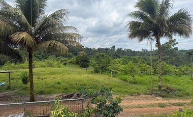 Venta de Finca , 116 Ha en  Pedro Vicente Maldonado. Ecuador.
