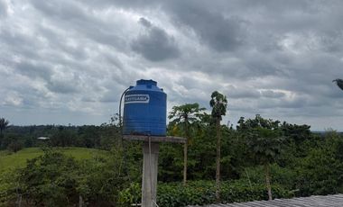 Venta de Finca , 116 Ha en  Pedro Vicente Maldonado. Ecuador.