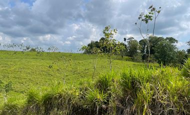 Venta de Finca , 116 Ha en  Pedro Vicente Maldonado. Ecuador.