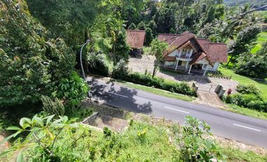 Rumah Lux Wanayasa Purwakarta, Mainroad, View Gunung