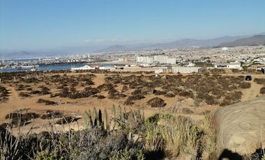Bustamante Propiedades vende terreno 10.000 m² en La puntilla de La Herradura, Coquimbo
