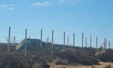 Bustamante Propiedades vende terreno 10.000 m² en La puntilla de La Herradura, Coquimbo