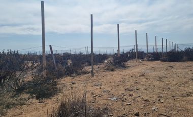 Bustamante Propiedades vende terreno 10.000 m² en La puntilla de La Herradura, Coquimbo