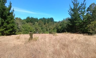 VEN 671 Se vende parcela con casa construida regularizada a 30 minutos de Concepción en Florida.