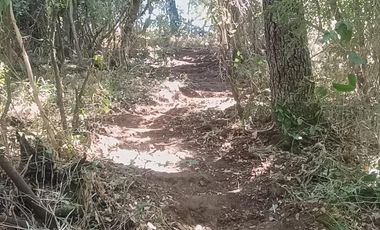 VEN 671 Se vende parcela con casa construida regularizada a 30 minutos de Concepción en Florida.