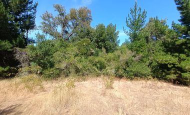 VEN 671 Se vende parcela con casa construida regularizada a 30 minutos de Concepción en Florida.