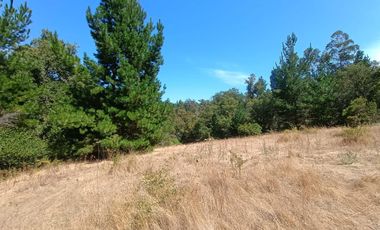 VEN 671 Se vende parcela con casa construida regularizada a 30 minutos de Concepción en Florida.