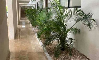 departamento en renta en benito juarez norte merida dentro ciudad alberca