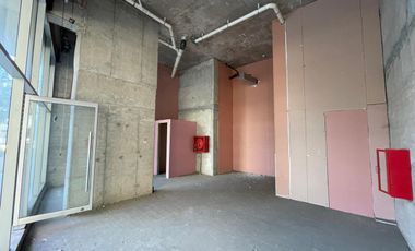 ARRIENDO Local comercial de 55,46 m2, Parque de la Infancia, Recoleta