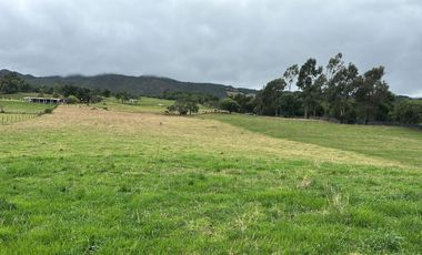 VENDO FINCA PRODUCTIVA EN GUASCA