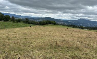 VENDO FINCA PRODUCTIVA EN GUASCA