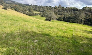 VENDO LINDA FINCA CON RIO EN GUASCA