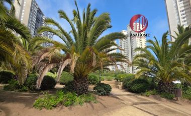 Arriendo de departamento en Bosque de Montemar, Concón