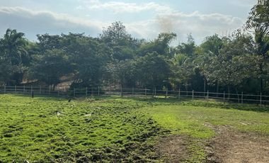 Venta Finca en Vía a la Costa - Guayaquil 3.1 hectáreas - Hacienda - Rancho - F41