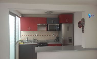 RENTA DE CASA AMUEBLADA!