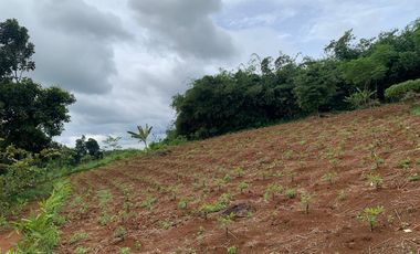 Dijual Cepat Tanah di Rumpin Bogor