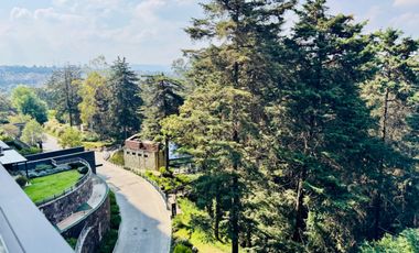 OPORTUNIDAD EN BOSQUE 6060 | 290 M² CON VISTA AL BOSQUE