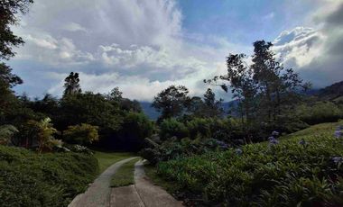 Casa campestre
