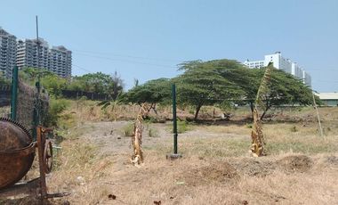 40,788sqm Lot for Lease along Levi Mariano, Ususan Taguig