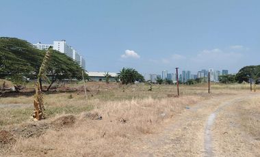 40,788sqm Lot for Lease along Levi Mariano, Ususan Taguig