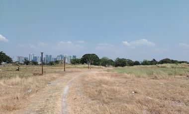 40,788sqm Lot for Lease along Levi Mariano, Ususan Taguig