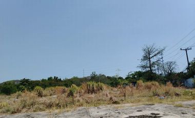 67,788.4sqm Lot for Lease along East Service Road, Paranaque