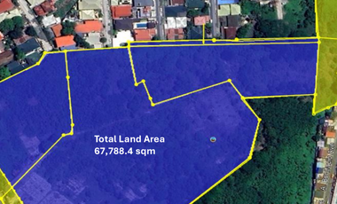 67,788.4sqm Lot for Lease along East Service Road, Paranaque