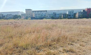 193,043sqm Lot for lease along Ruhale Road, Calzada Taguig near C6