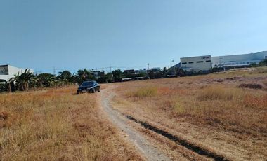 193,043sqm Lot for lease along Ruhale Road, Calzada Taguig near C6