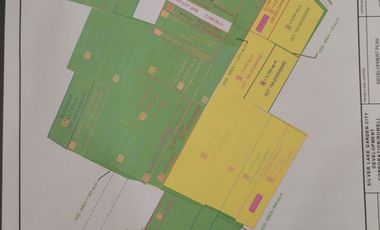 193,043sqm Lot for lease along Ruhale Road, Calzada Taguig near C6